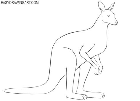 how to draw a kangaroo pictures Kangaroo Pictures, Draw A Kangaroo, Kangaroo Tail, Kangaroo Drawing, Drawings To Trace, Drawing Lesson, Floral Wallpaper Phone, Easy Drawings Sketches, Anime Artwork Wallpaper