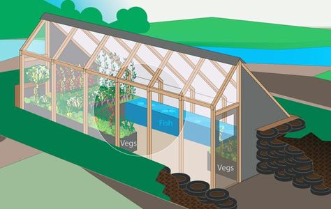 Earthship Greenhouse Northern Greenhouse, Greenhouse Farming, Aquaponics Greenhouse, Plants Growing, Greenhouse Plans, Aquaponics System, Diy Greenhouse, Garden Greenhouse, Greenhouse Gardening