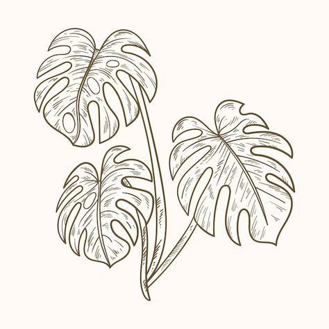 Monstera Drawn, Monstera Leaf Outline, Monstera Leaf Drawing, Monstera Clipart, Plant Scrapbook, Amy Tattoo, Monstera Line Art, Hop Water, Cheese Plant Leaf