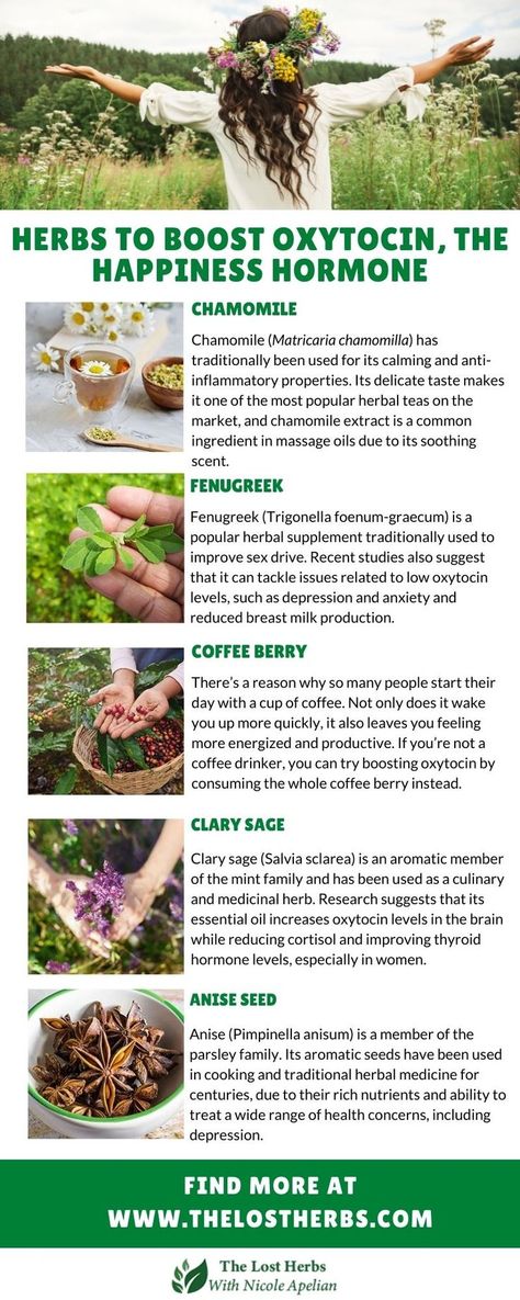 Hormone Herbs, Love Hormone, Herbal Education, Herbal Medicine Recipes, Herbal Remedies Recipes, Medicinal Herbs Garden, Healing Garden, Herbal Recipes, Natural Healing Remedies