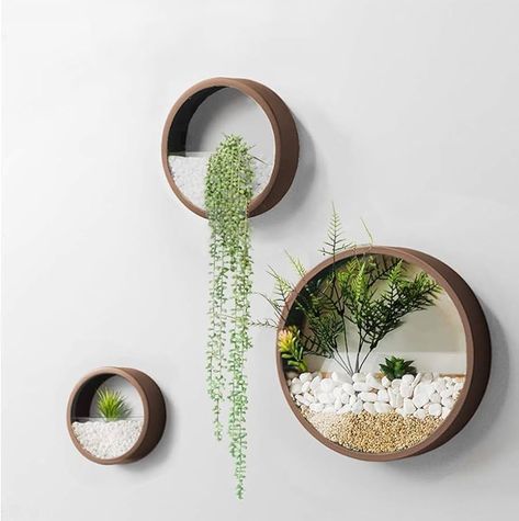 Amazon.com: KULABO Metal Wall Planter,Round Hanging Wall Vase Planters for Succulents |Flower Pot Wall Planters for Plants,Succulent Plants, Small Cactus and More,Home Wall Decor |Brown Color | in Gift Box 3 Pcs : Patio, Lawn & Garden Indoor Plants On Shelves, Wall Shelf With Plants, Wall Boxes Decor Ideas Living Room, Indoor Plant Holder, Small Wall Planters Indoor, Home Decor Plants Living Rooms, Boho Succulents Decor, Plants Apartment Decor, Wall Plants Bedroom