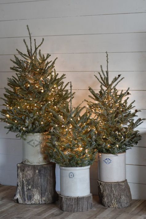 Winter Outdoor Decorations, Deco Noel Nature, Natal Country, Rustic Farmhouse Christmas, Old Crocks, Farmhouse Christmas Tree, Christmas Decor Inspiration, Christmas Living Rooms, Country Decor Rustic