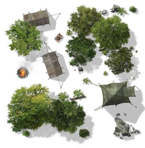 Map Assets, Deciduous Forest, Photoshop Landscape, Landscape Architecture Graphics, Trees Top View, Tree Photoshop, Photoshop Rendering, Tree Plan, Battle Map