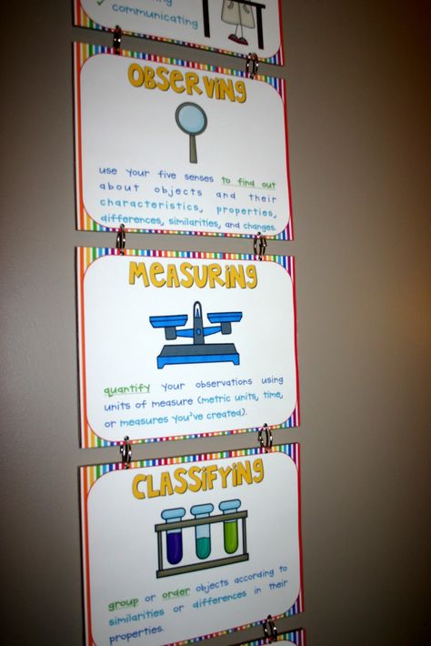 #Science #ProcessSkills Basic Process Skills posters, hung vertically using book rings from Staples! These are great for use with a science word wall, or in a science center. You can grab them for FREE at the link! Science Process Skills, Science Word Wall, Science Inquiry, Science Anchor Charts, Book Rings, Science Words, Stem Classroom, Science Tools, Science Skills