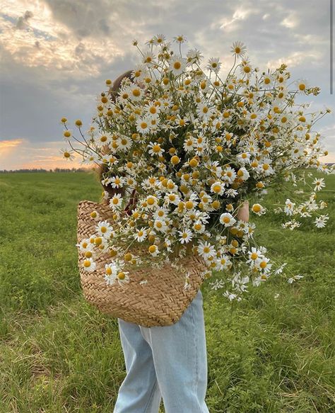 Emily + Core + Aesthetic, Collage Des Photos, Boquette Flowers, Nothing But Flowers, Animale Rare, Flower Therapy, Spring Aesthetic, Foto Ideas Instagram, Green Flower