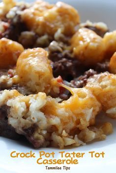 Crock Pot Tater Tot Casserole, Tater Tot Casserole Recipe, Tater Tot Casserole Recipes, Slow Cooker Casserole, Crock Pot Food, Tot Casserole, Tater Tot Casserole, Crockpot Dishes, Tater Tots