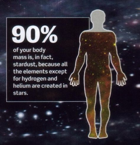 Interesting concept to consider that provides a different perspective on the body's relationship with the universe: we are made of stardust. Astronomy Facts, Space Facts, Quantum Physics, Science Facts, Space Science, Space And Astronomy, The Human Body, Fun Science, Science And Nature