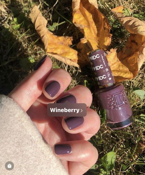 Fall Nails Dc Gel, Dnd Fall Color Nails, Cool Nail Polish Colors, Dnd Ombre Nails, Dnd Pewter Gray, Dnd Gel Polish Colors Fall Orange, Fall Nail Colors Gel Polish Short Nails, September Nails Color Fall Dnd, Fall Pink Nails Dnd