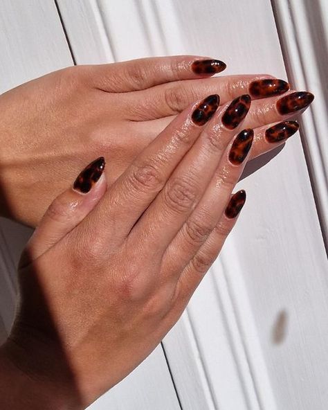 Black Amber Nails, Autumn Blooming Gel Nails, Fall Blooming Gel Nails, Blooming Nails Gel, Blooming Gel Nail Art Ideas, Autumn Biab Nails, Blooming Nail Art, Nails Blooming Gel, Amber Nail