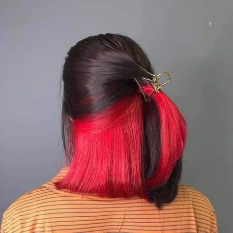 Creative and Fun Underneath Hair Color Inspirations Bottom Half Red Hair, Half Red Hair, Red Hair Underneath, Hair Dyed Underneath, Hidden Hair Color, Half Dyed Hair, Underneath Hair Color, Underneath Hair, Hair Color Underneath