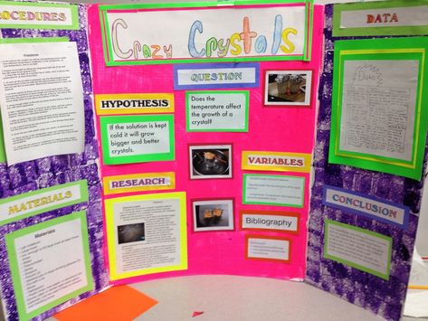 Question: Does temperature affect the growth of crystals? Hypothesis: If the solution is kept cold it will  grow better and bigger crystals. Variables:     Independent: Changing the temperature.... Sugar Crystal Science Project, Science Fair Display Board, Middle School Science Fair Projects, Science Project Board, Project Display Boards, Science Fair Board, Science Fair Projects Boards, Cool Science Fair Projects, Borax Crystals