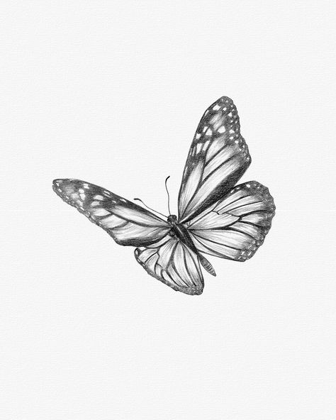 butterfly sketch Preview – Pattern Description Color Harmonies: complementary, analogous, triadic color schemes ! – Source – The post butterfly sketch – Monarch Butterfly Drawing appeared first on CoDesign Magazine | Daily-updated Magazine celebrating creative talent from around the world.