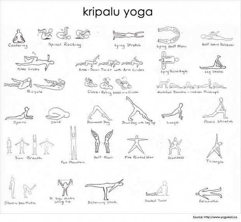 Kripalu Yoga, Yoga Types, Kundalini Yoga Poses, Basic Poses, Ancient Yoga, Yoga Kundalini, Different Types Of Yoga, Benefits Of Yoga, Yoga Moves