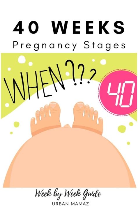 Pregnancy guide - 40 weeks. Are you pregnant? Wondering how is your baby developing? Discover your baby and pregnancy development - Week by week pregnancy guide- pregnancy trimesters, all the pregnancy stages- click here to read about 40 weeks pregnancy》 Pregnancy Trimesters, Pregnancy Development, Body Changes During Pregnancy, Week By Week Pregnancy, 40 Weeks Pregnant, Pregnancy Calculator, Home Pregnancy Test, Pregnant Baby, Pregnancy Guide