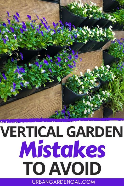 vertical garden mistakes Vertical Garden Idea, Vertical Patio Garden, Birmingham House, Vertical Garden Systems, Vertical Planting, Vertical Garden Plants, Wall Plants, Pots Ideas, Home Garden Ideas