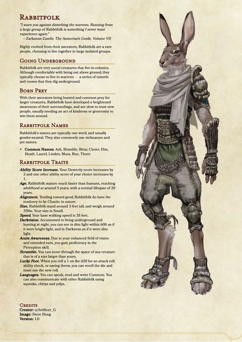 Dungeons And Dragons Races, D D Races, D D Character Ideas, Dnd Classes, Dnd Races, Dungeons And Dragons Classes, Dnd Dragons, Dnd 5e Homebrew, Dungeons And Dragons Game