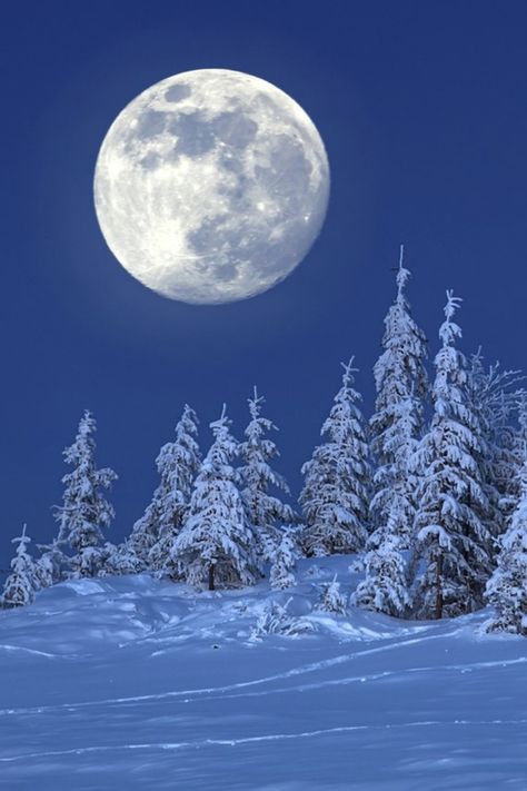 winter moon Winter Scenes Wonderland, Winter Wonderland Wallpaper, Snow Moon, Moonlight Photography, Winter Moon, Snow Pictures, Moon Clouds, Shoot The Moon, Moon Pictures