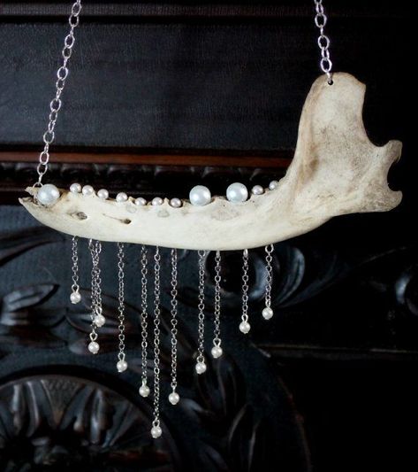 Animal Bone Jewelry, Oddities Decor, Taxidermy Art, Animal Skull, Bone Crafts, Bone Art, Bone Necklace, Bone Jewelry, Jaw Bone