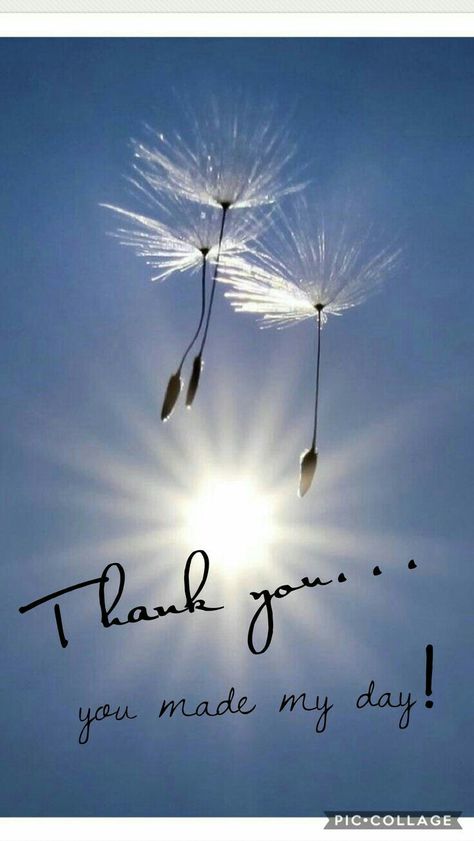 You sure did make my day. Many many thanks xoxo Thank You Qoutes, Thank You Quotes Gratitude, Thank You Messages Gratitude, Thanks For Birthday Wishes, Thank You For Birthday Wishes, Welcome Quotes, Thank You Pictures, Thank You Wishes, Thank You Images