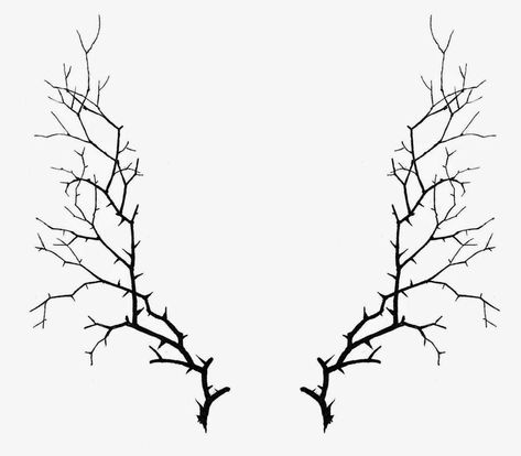 Vine Drawing Thorns For Free Download - Thorn Bush Drawing Bush Drawing, Vine Drawing, Backpiece Tattoo, Halloween Borders, Halloween Clip Art, Vintage Halloween Images, The Graphics Fairy, Halloween Clips, Halloween Frames