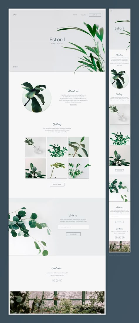 Plant Shop Web Design, Plant Shop Website, Plant Web Design, Plant Website Design Inspiration, Gardening Website Design, Nature Web Design, Plant Website Design, Nature Website Design, Green Website Design