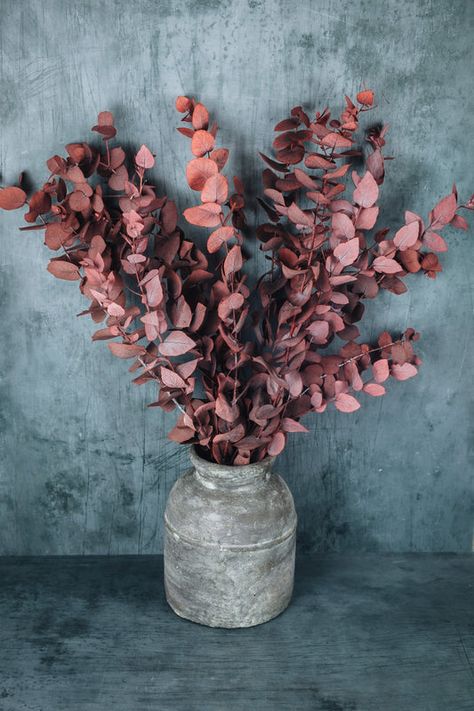 Cortaderia Selloana, Eucalyptus Stems, Preserved Eucalyptus, Eucalyptus Bouquet, Billy Buttons, Flower Store, Dried Flower Bouquet, Pampas Grass, Natural Red