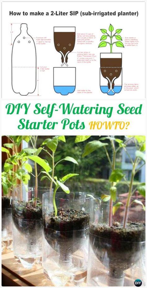 Plastic Bottle Garden, Kebun Herbal, Projek Diy, Diy Jardin, Tanaman Indoor, Tanaman Pot, Jardim Diy, Diy Plastic Bottle, نباتات منزلية