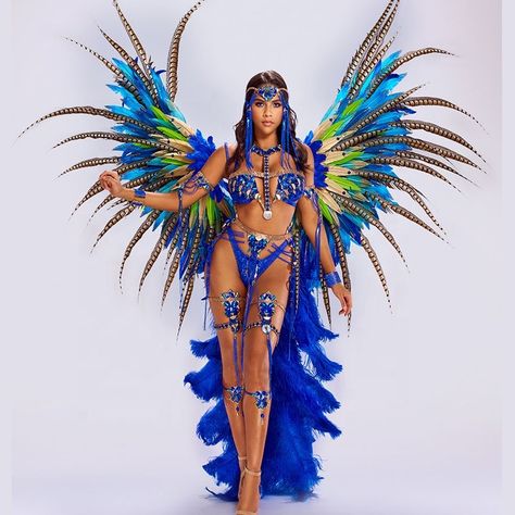 Carnival Wings, Carnivale Costume, Carribean Carnival Costumes, Carnival Outfit Carribean, Caribbean Carnival Costumes, Big Backpack, Carnaval Outfit, Miami Carnival, Carnival Dancers