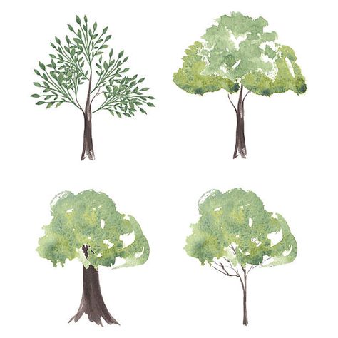 Oak Tree Drawings, Oak Tree Silhouette, Grass Vector, Tree Illustration, Watercolor Trees, Tree Silhouette, Tree Drawing, Free Vector Graphics, Green Trees