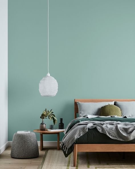 Dulux Australia | Behind the Style | Greens are versatile and easy to live with inside and outside of your home. Dulux Tiamo is the perfect example with its… | Instagram Blue Room Ideas, Dulux Paint Colours, Dulux Paint, Deep Forest Green, Backyard Studio, Blue Room, Blue Rooms, Deep Forest, Duck Egg Blue