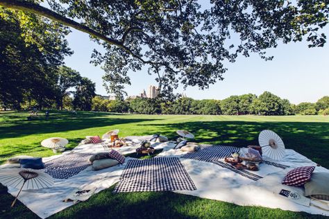 Picnic In Central Park, Central Park Picnic, Picnic Party Decorations, Picnic Baby Showers, Girly Birthday Party, Picnic Engagement, Picnic Birthday Party, Engagement Dinner, Picnic Theme