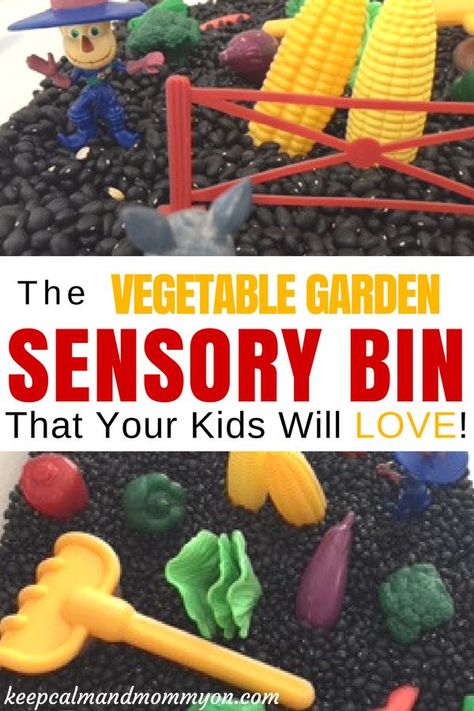 Vegetable Garden Sensory Bin, Sensory Bin Ideas, Sensory Activities, Crafts For Kids, Activities For Toddlers, Activities For Preschoolers Garden Sensory Bin, Garden Sensory, Sensory Bin Ideas, Sensory Activities Toddlers, Food Activities, Toddler Snacks, Budget Planer, Creative Gardening, Sensory Bin