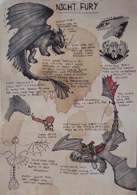 Aesthetic Journaling Ideas, Avatarul Aang, Aesthetic Journaling, Creaturi Mitice, Train Dragon, Httyd Art, Výtvarné Reference, Dragon Sketch, Httyd Dragons