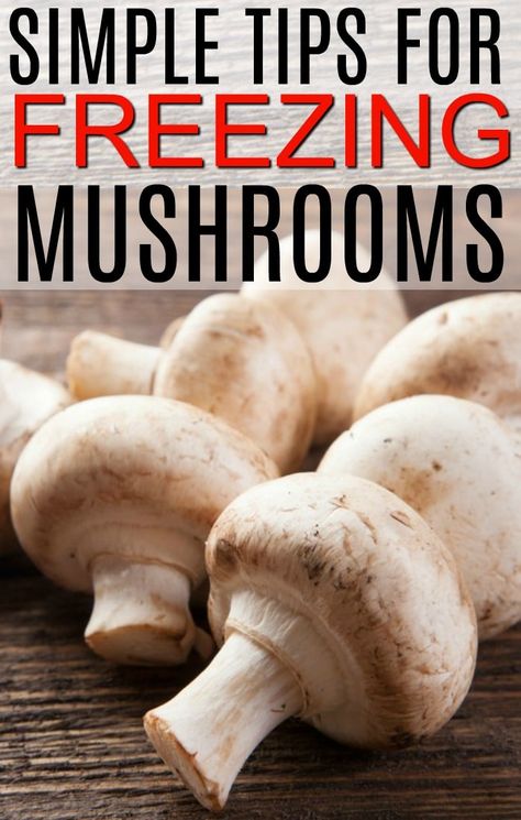 How To Freeze Mushrooms, Freezing Mushrooms, Freezing Food Guide, How To Store Mushrooms, Freezer Meal Planning, Freezer Meal Prep, Frozen Veggies, Food Saver, Freezer Cooking