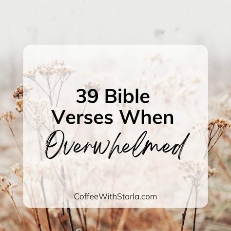 Comforting Bible verses when overwhelmed. Read timeless words that bring peace and hope when feeling overwhelmed. Let God's words uplift you. Comfort Verses, Verses About Peace, Comforting Bible Verses, Perfect Peace, Psalm 34, Peace Of God, Guard Your Heart, Let God, S Word