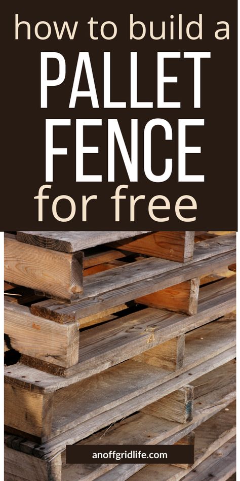 Pallet Privacy Fences, Pallet Fence Diy, Wood Pallet Fence, Pallet Gate, Homesteading Hacks, Cheap Privacy Fence, Diy Backyard Fence, Diy Privacy Fence, Easy Fence