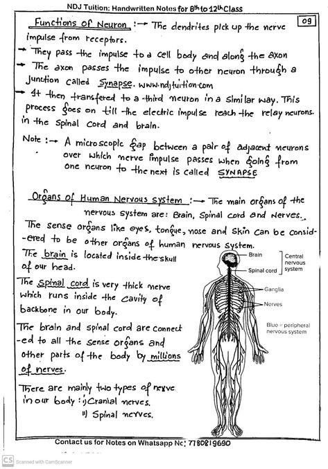 Control and Coordination Handwritten Notes for Class 10th Biology Notes Class 10 Aesthetic, Class 10 Science Notes Control And Coordination, Class 11 Biology Notes Neural Control And Coordination, Control And Coordination Notes Aesthetic, Control And Coordination Class 10 Notes, Neural Control And Coordination Notes, Class 10th Science Notes, Control And Coordination Notes, Class 10 Boards