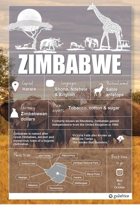 Zimbabwe safaris Zimbabwe Africa, Country Information, Africa Travel Guide, Travel Infographic, African Travel, Koh Tao, Destination Voyage, Amazing Travel Destinations, Travel List