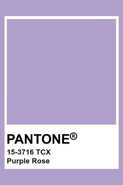 Pantone Color, Lilac, Lavender, Purple, Color, Design