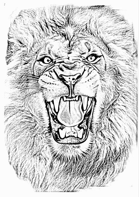 Angry Lion Tattoo Design, Angry Lion Tattoo, Daniel Tattoo, Angry Lion, Lion Sketch, John Wayne Movies, Lion Tattoo Design, Black Ink Tattoos, Arm Tattoos For Guys