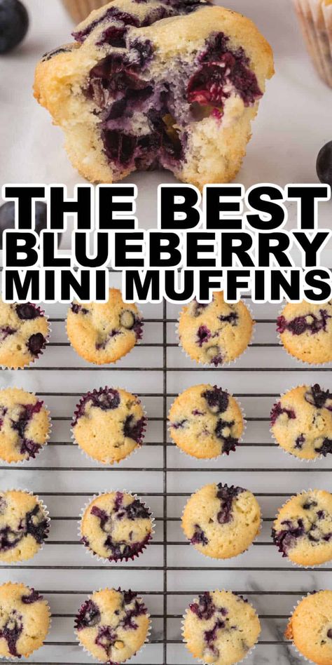 Full of juicy blueberries, this easy-to-make mini blueberry muffins recipe is one our whole family loves. Make a batch of these mini blueberry muffins so you have some to enjoy now and some to freeze to enjoy later. These blueberry muffins have the perfect sweet flavor that is bursting with blueberries. Blueberries Sauce, Blueberry Yogurt Muffins, Mini Blueberry Muffins, White Grape Juice, Mini Muffin Recipe, Homemade Blueberry Muffins, Blueberry Muffins Recipe, Easy Blueberry Muffins, Healthy Blueberry Muffins