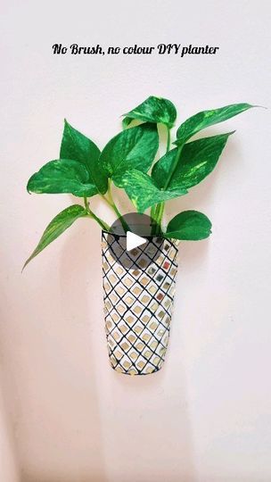 3K views · 329 reactions | ✨No Brush, no colour DIY planter 😉☘️| Upcycled shampoo bottle|DIY planter..
Materials needed - Black ceramic cone, golden mirrors and fabric glue.

DIY, DIY ideas, decor ideas, plants, DIY planter, trash to treasure.

✨Hope you liked this video. You can also check my previous reels for all  budget friendly DIYs.
Thanks for watching.😊🙏

✨Do follow @decor_diy_widpriya for more budget friendly DIY, gardening and home decor ideas.😊

#happinesshomemadetour 
#diyplanter #mirrors
#plantcollection #nameplate #diywalldecor #warliartwork #walldecor #cardboardcrafts #cardboardart #bestoutofwaste #trashtotreasure #homedecor #artistsoninstagram #explorepage #trending #instadaily #cardboard #wallhangingdecor #reelvideo #reelinstagram #reelsindia #redecormyhome #trendingree Shampoo Bottle Diy, Trash To Treasure Ideas Upcycling Diy, Trash To Treasure Ideas, Budget Friendly Diy, Plants Diy, Diy Planter, Golden Mirror, Bottle Diy, Diy Gardening