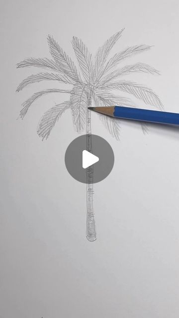 Mark Liam Smith on Instagram: "Draw a realistic palm tree 🌴 Easy drawing lesson for beginner artists on how to draw a palm tree. #drawinglesson #palmtree" Easy To Draw Palm Trees, Drawing A Palm Tree, How To Draw A Palm Tree Step By Step, Palm Tree Drawing Sketches, How To Draw Palm Trees, How To Draw A Palm Tree, Easy Palm Tree Drawing, Palm Tree Painting Easy, Palms Drawing