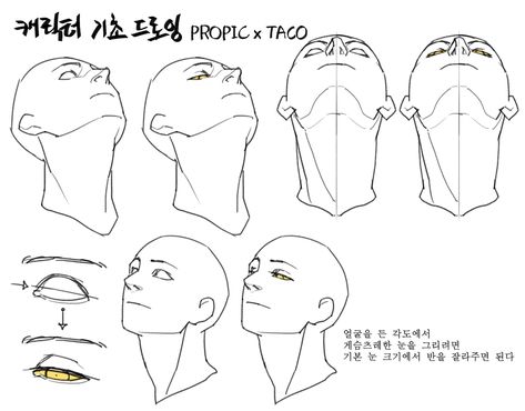 Media Tweets by 타코작가 (@taco1704) / Twitter Head Anatomy, Face Angles, 얼굴 드로잉, Anatomy Tutorial, Drawing Heads, Seni 2d, 얼굴 그리기, Anatomy Sketches, Body Reference Drawing