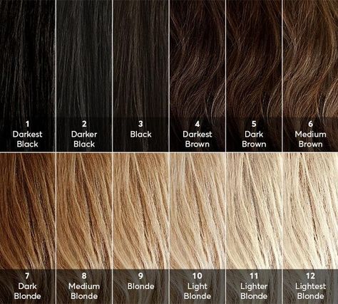 Level 4 Brown Hair, What Color Is My Hair, Black Hair Dyed Brown, Hair Color Levels, Light Black Hair, Hair Chart, Hair Levels, Holiday Party Hair, Hair Color Guide