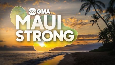 Maui Strong: Charities to directly support wildfire relief efforts Maui Strong, Hawaii Food, University Of Hawaii, Charity Organizations, American Red Cross, Wine Festival, Kim Hyun, Good Morning America, Hawaiian Islands