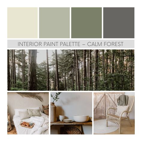 PLEASE NOTE THIS IS A PRE-PACKAGED PAINT PALETTE - NOT CUSTOM. ALSO NOTE THAT IT IS A DIGITAL DOWNLOAD AND DOES NOT INCLUDE PHYSICAL SAMPLES. This listing is for a pre-packaged interior paint palette. I've named this palette Calm Forest because it's meant to evoke the sense of serenity and wonder felt when wandering through the trees on a calm, quiet day. It works with most interior design styles and especially compliments farmhouse, rustic and Scandinavian spaces. *WHAT YOU GET After purchasing Color Palette Farmhouse, Color Palette Interior, Calm Forest, Farmhouse Color Palette, Farmhouse Color Scheme, Interior Paint Palettes, Farmhouse Color, Farmhouse Paint Colors, House Color Palettes