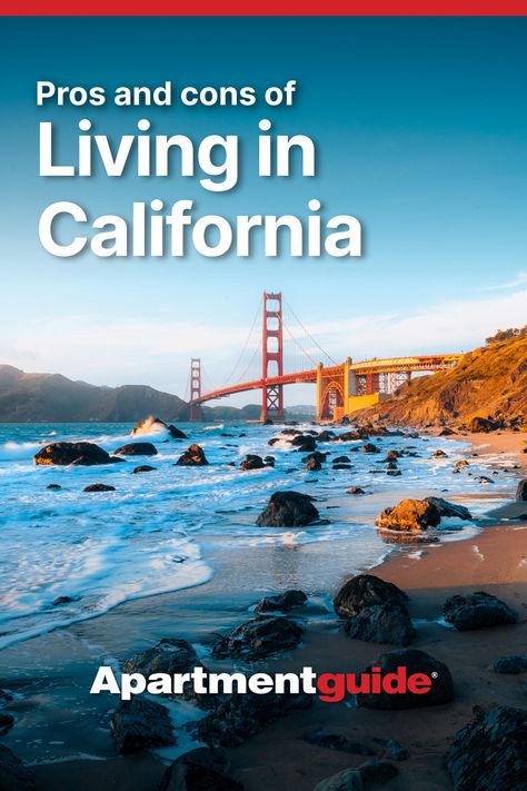 Thinking of a move to the Golden State? Here are 12 pros and cons you should know before making a move to California: bit.ly/46zN5M9

#ApartmentGuide #moving #renting #rentlife #apartmentliving #apartmentlife #california #losangeles #sandiego Walkable City, Apartment Guide, Senior Student, Apartment Hunting, Redwood Forest, Moving To California, Apartment Life, California Art, Yosemite National