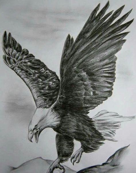 Fly Free, Eagles, Pencil, Healing, On Instagram, Instagram