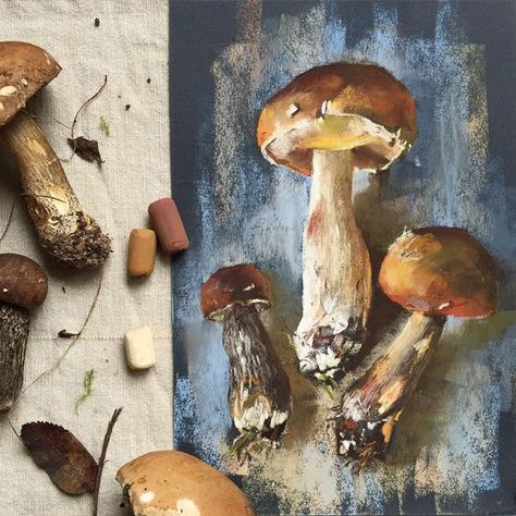 Pastel Sketchbook, Draw Watercolor, Forest Mushrooms, Chalk Pastel Art, Illustration Pencil, Soft Pastel Art, Pastel Crayons, Pastel Artwork, Pastel Sec